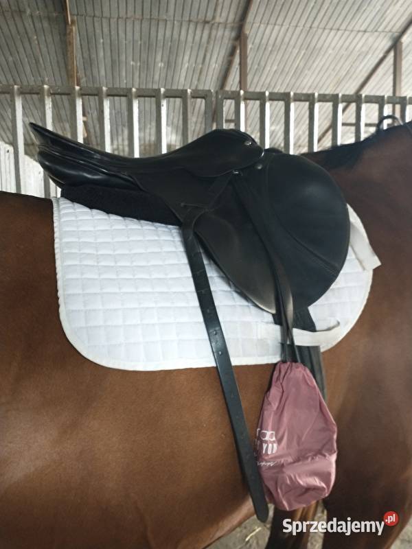 Super siodło skokowe close contact Pozostałe Łódź