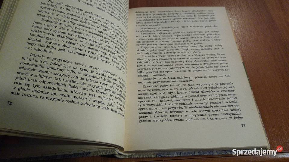 Wikliniarstwo Bolesław Kański Polska Wiklina Gdańsk sprzedam