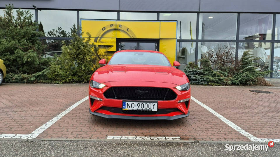 Ford Mustang Ford Mustang GT Stan Idealny Cesja wielofunkcyjna kierownica Giżycko sprzedam