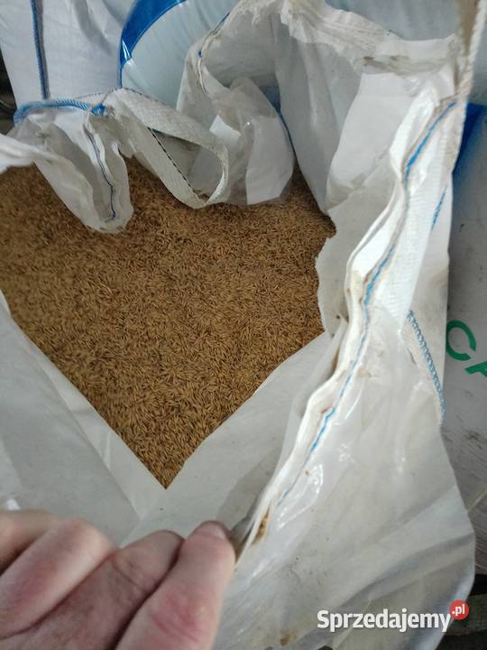 Sprzedam Magnuszew sprzedam