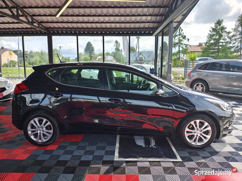 Kia Ceed 16Diesel Bogate Wyposażenie Stan podkarpackie Zarszyn