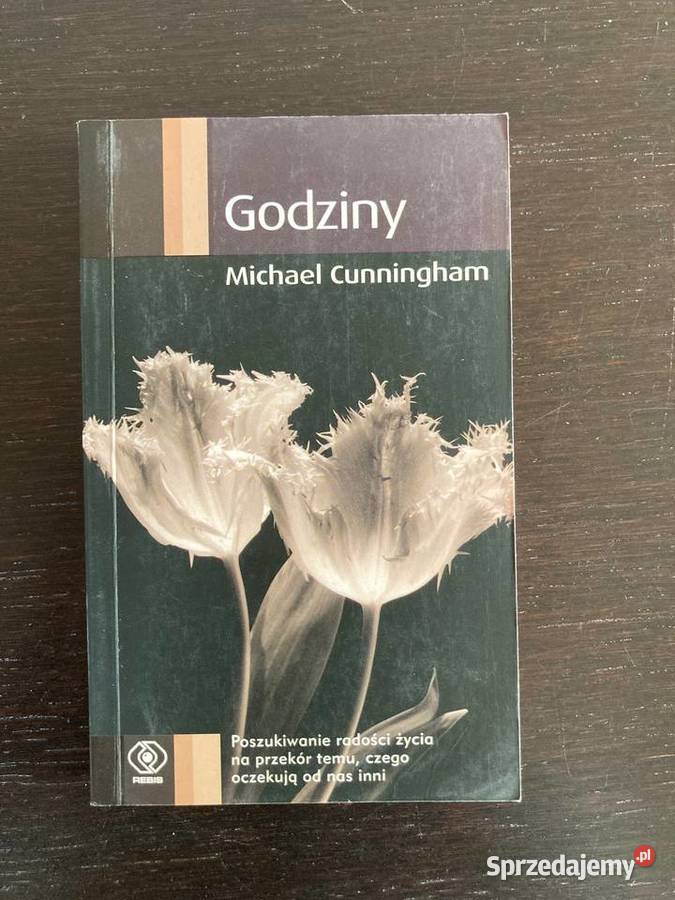 Michael Cunningham Godziny Proza i poezja Elbląg sprzedam