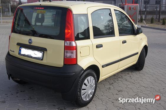 PANDA Panda dolnośląskie Oława sprzedam