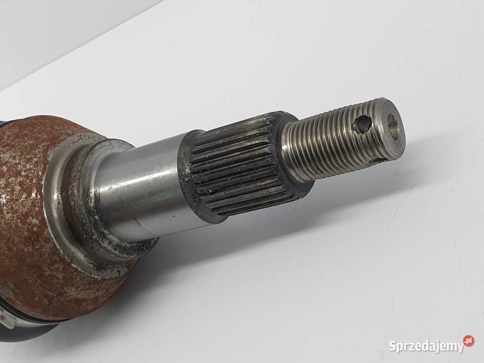 Polos Przednia Prawa Can Am Renegade G2 Łódź