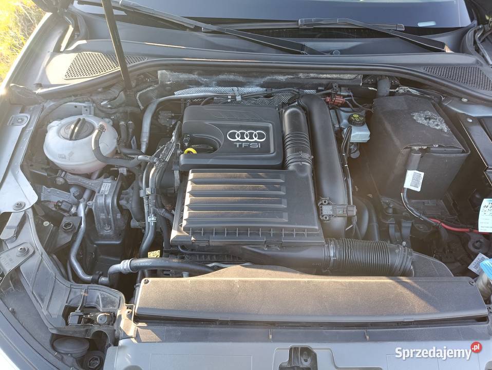 Audi A3 2013 14 tfsi Orginalny lakier Pierwszy Czosnówka