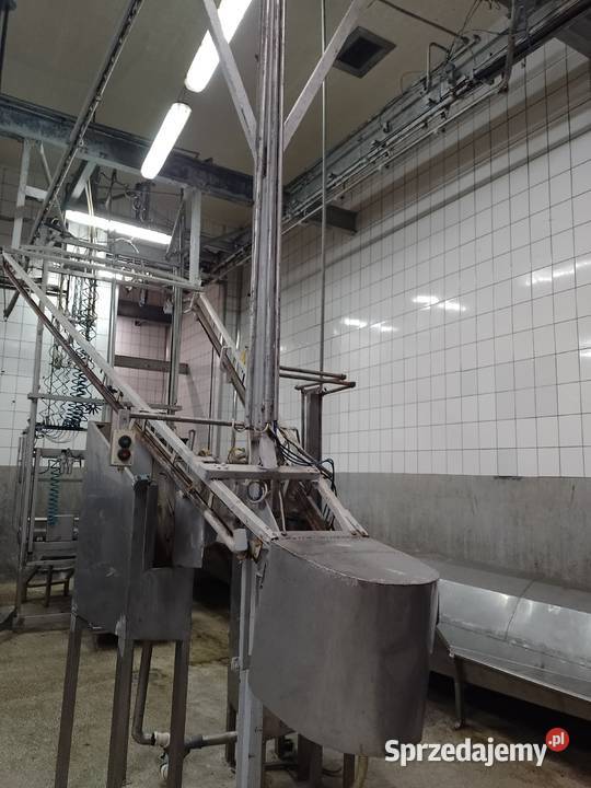 KOMPLETNA LINIA UBOJU BYDŁA Micigózd sprzedam