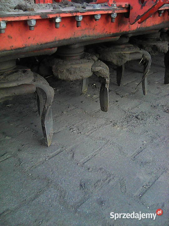 Brona talerzowa kun Rucewo