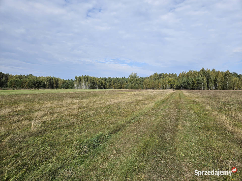 Działka bud Bobrowniki 1200M2 WZ dookoła LAS 50zł/m2 Sprzedaż mazowieckie
