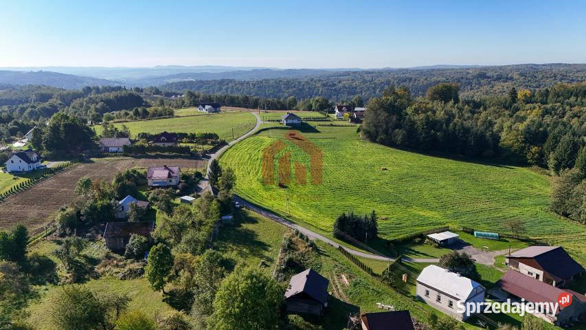Grunt na sprzedaż 1200m2 Lubzina 1200m2 Grunty i działki podkarpackie sprzedam