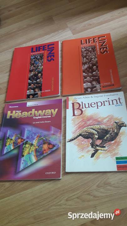 30 Książka i ćwiczenia do nauki języka Bydgoszcz