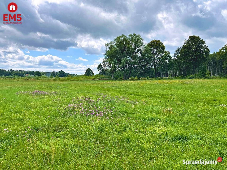 Sprzedaż gruntu 5820m2 Harsz warmińsko-mazurskie