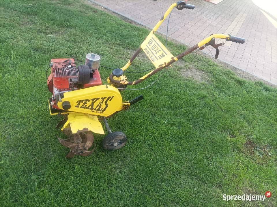 Glebogryzarka warmińsko-mazurskie Zalewo