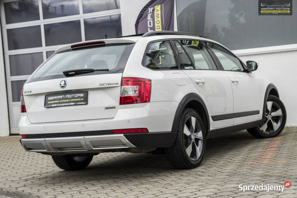 koda Octavia SCOUT Panorama Ledy Parktronic ASO ESP Gdynia