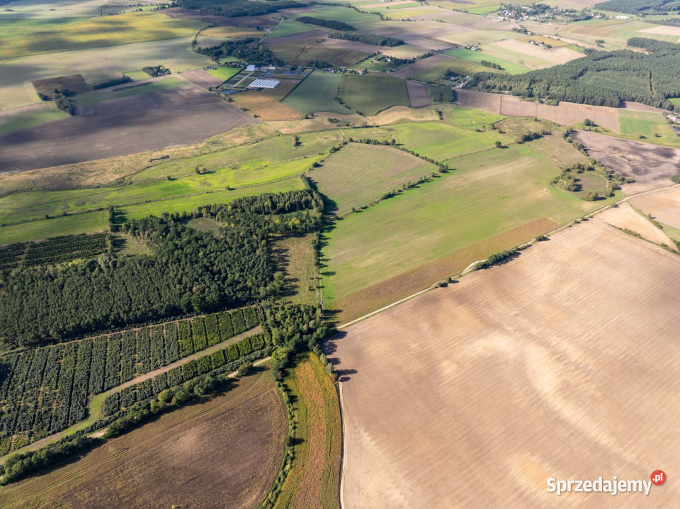 Działka inwestycyjna 18 działek pod zabudowę 20000m2 Sprzedaż wielkopolskie