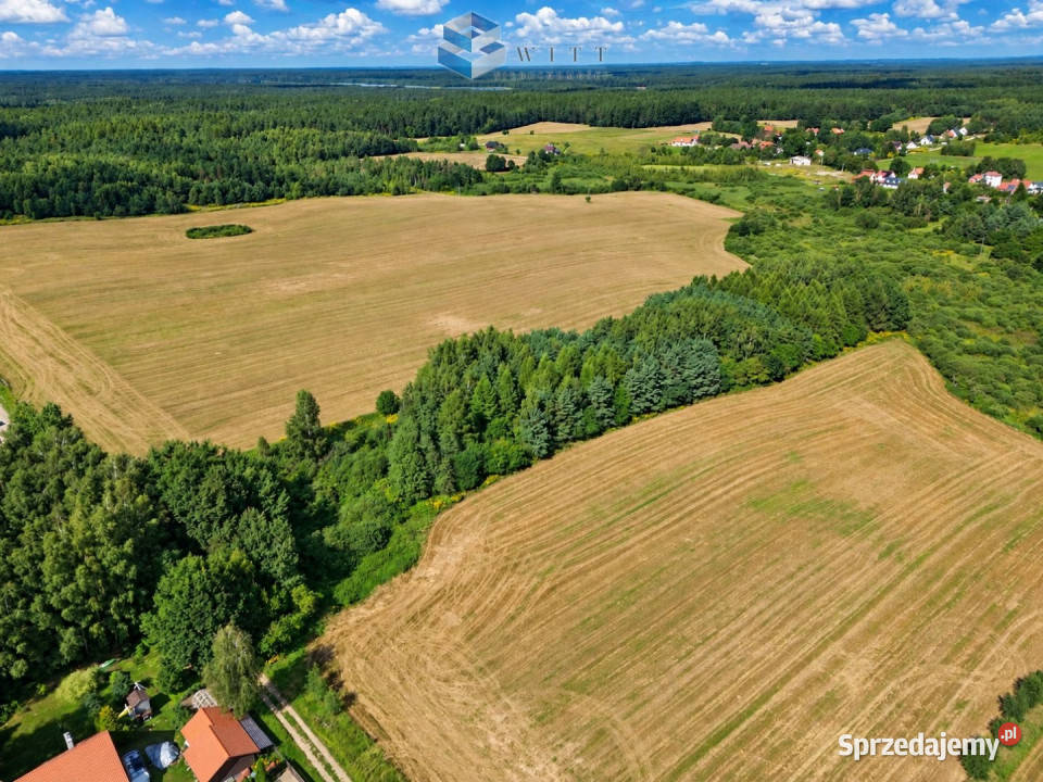 sprzedaży gruntu Zwierzewo 3124m2 3124m2