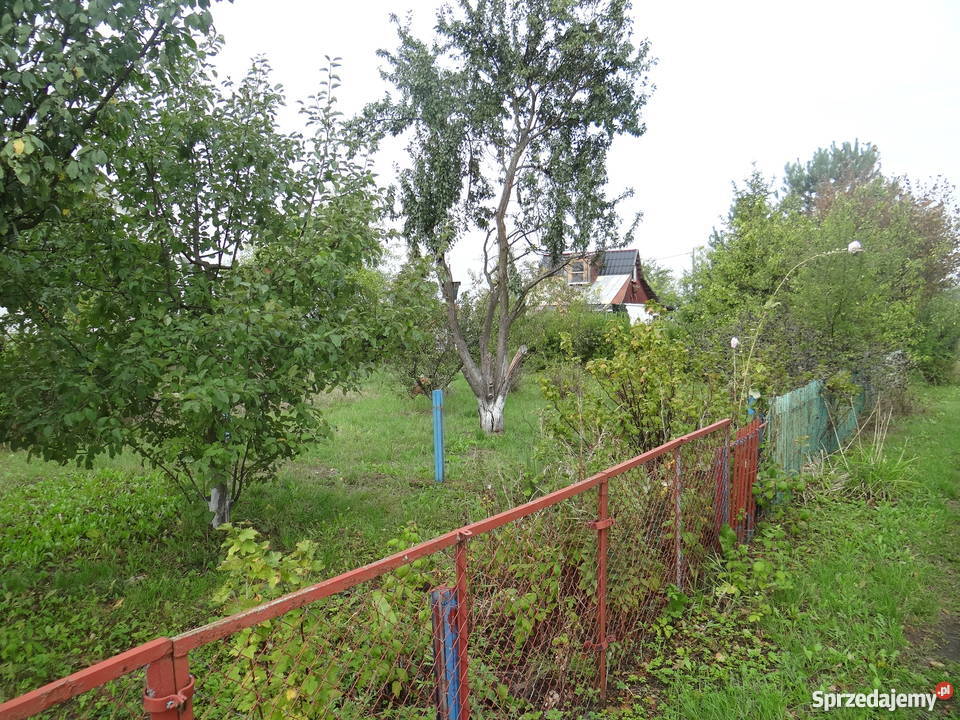 Ogródek działkowy 600m2 Kasprzaka OKAZJA Gorzów Wielkopolski sprzedam