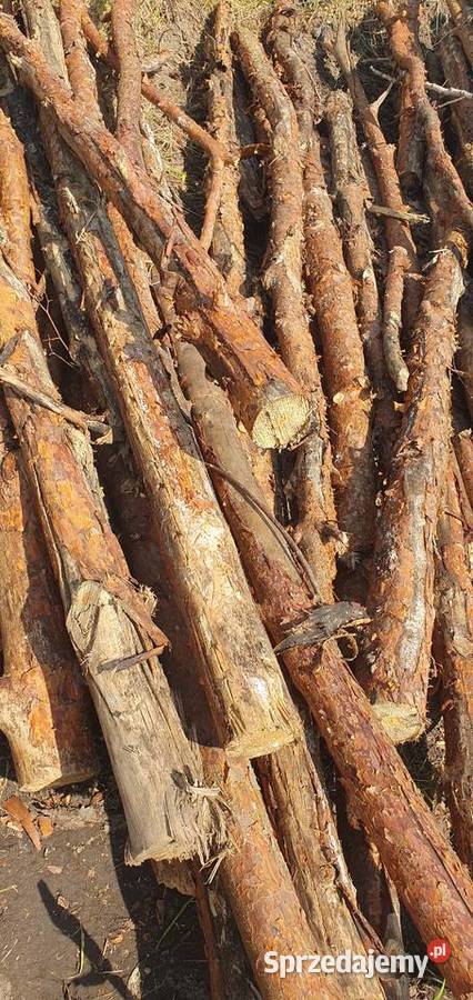 Drewno opałowekominkowe Gałęziówka i grube Bydgoszcz