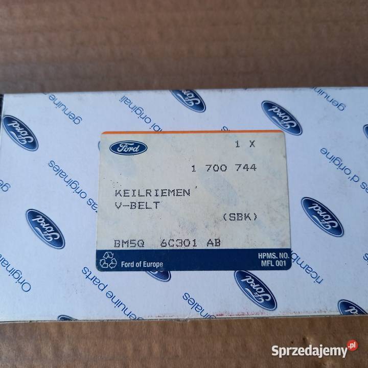 1700744 BM5Q6C301AB Pasek wielorowkowy Ford małopolskie Kraków