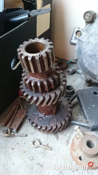 Choinka 3 biegowa do Warszawy Nysy Ryki