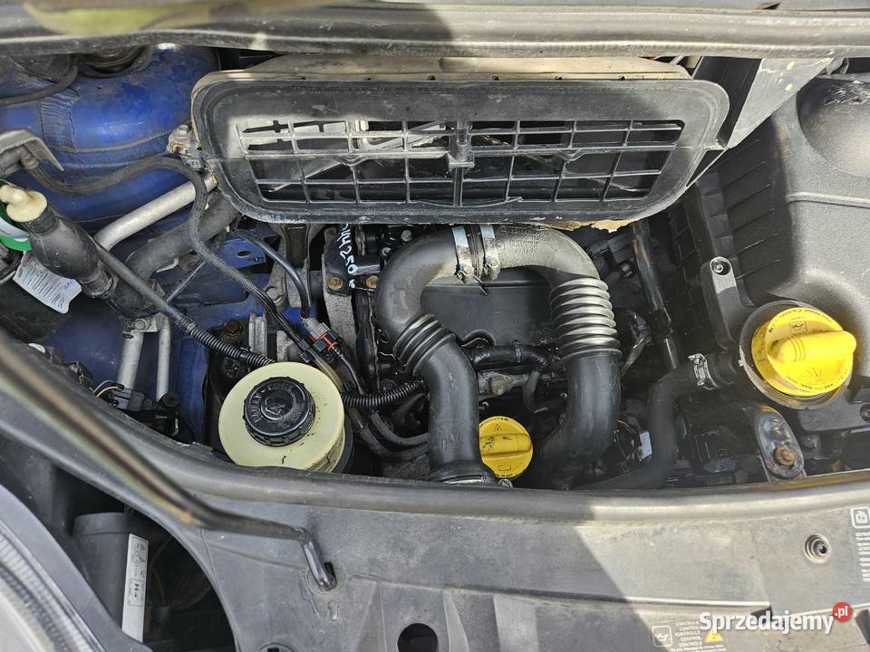 nissan primastar 9 osób Samochody osobowe wielkopolskie