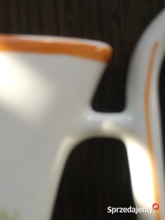 Pijałka Ćmielów para pałacowa widok para Choszczno