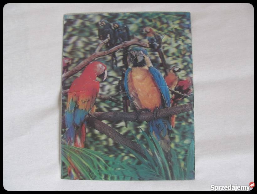 OBRAZ obrazek trójwymiarowy papugi 26 x 34 Dekoracje i ozdoby Płock sprzedam