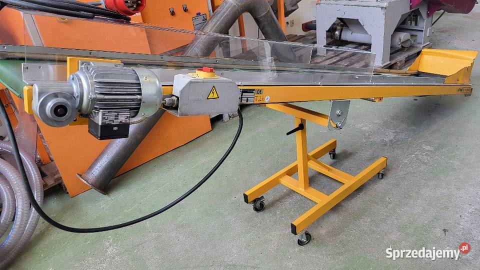 Taśmociąg prosty 300 x 40 przenośnik taśmowy z Produkcja Białogard