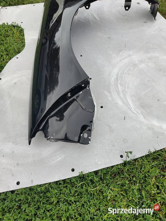 Błotnik coguar Woźniki-Kolonia