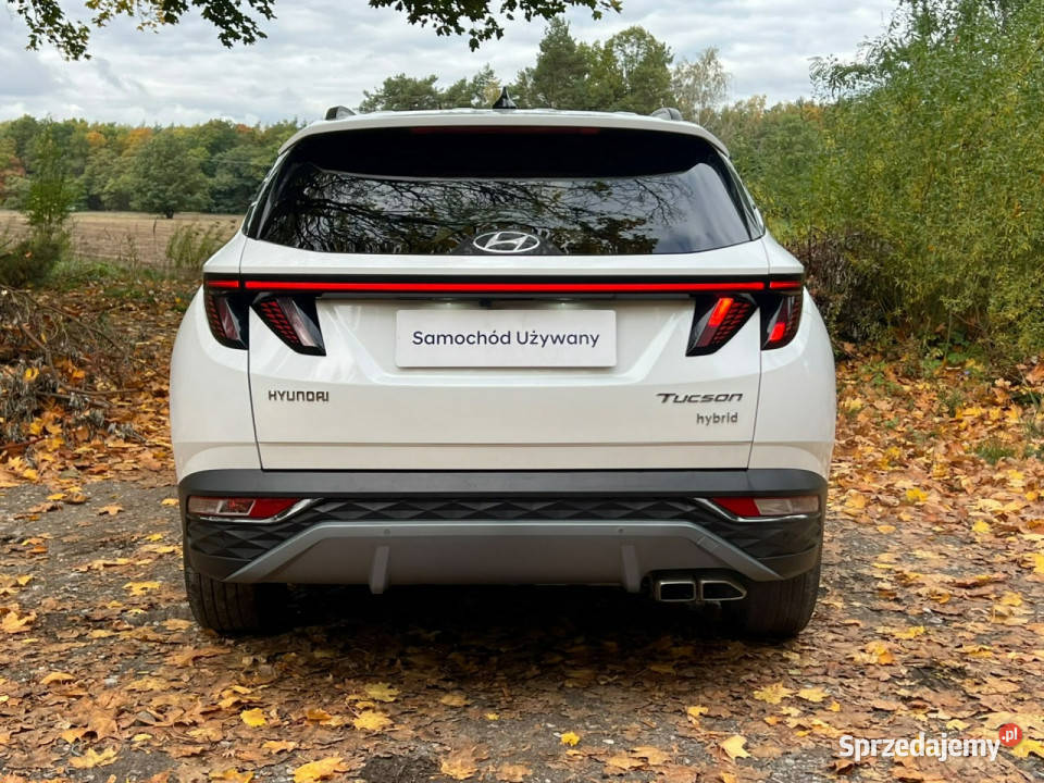 Hyundai Tucson 16TGDI HEV 230 6AT 2WD hybryda Piotrków Trybunalski