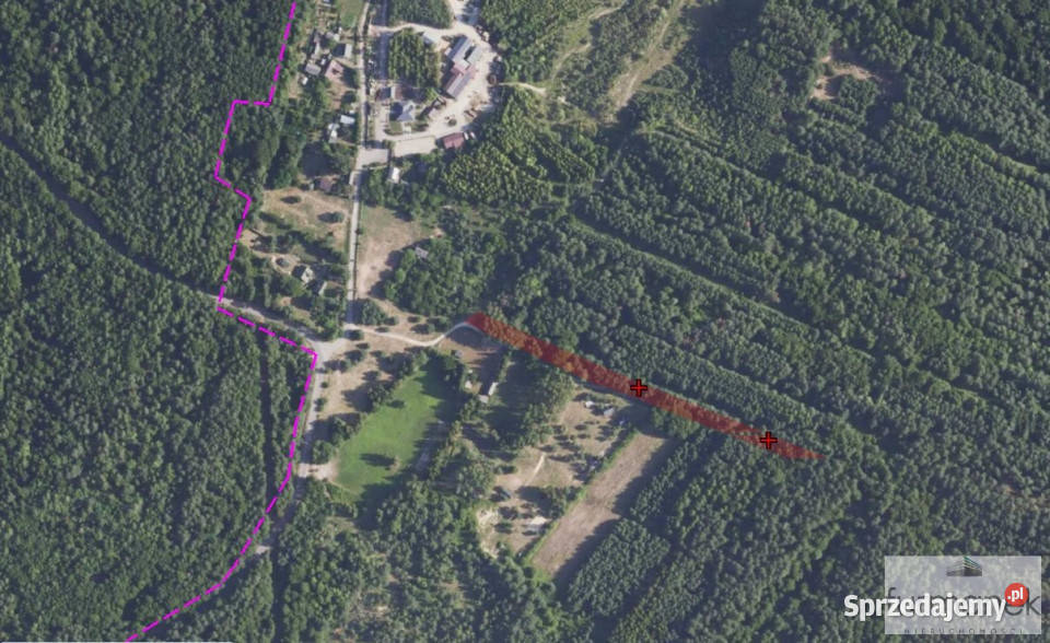 Ogłoszenie grunt 14500m2 Kajetanówka sprzedam