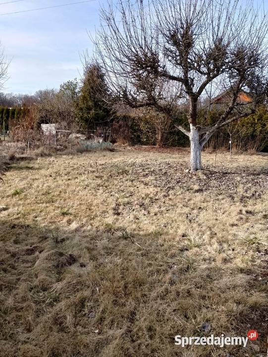 Sprzedam działkę ROD w Sierakowie koło