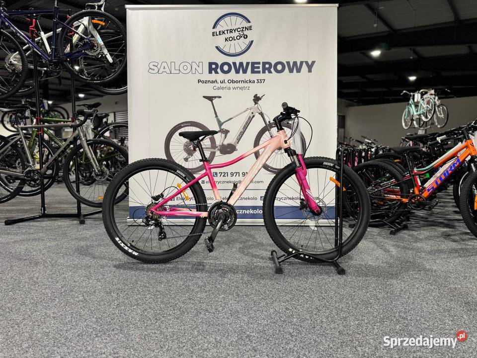 Rower MTB Junior STORM Queen 26 Rama 15 Raty 0 Poznań sprzedam