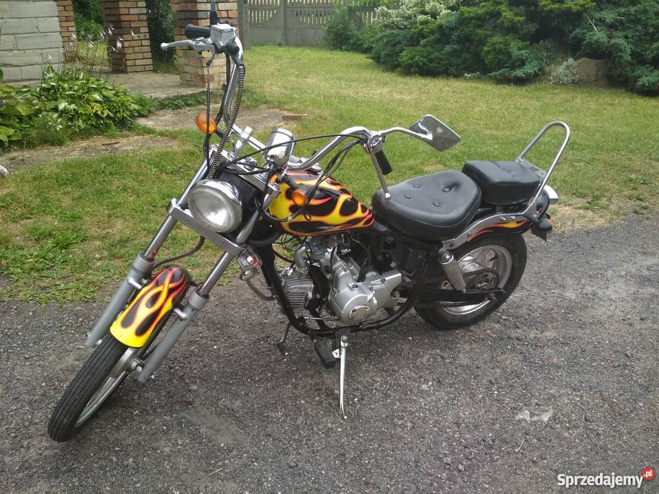 Xintian XT50 kingway łoś Opoczno