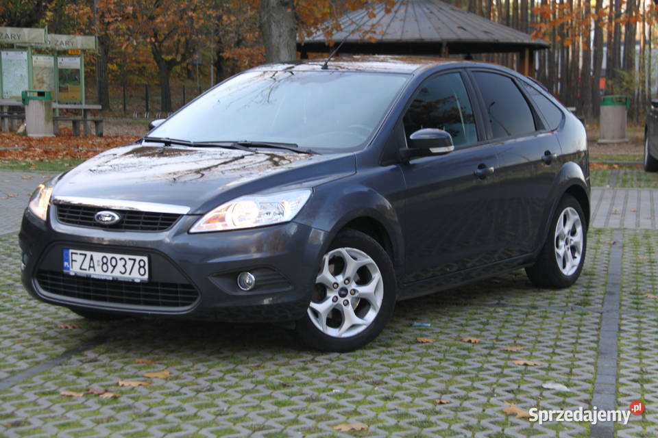 16 16V Benzyna Niski Przebieg Jedyne 95 Super Focus Focus Żary sprzedam