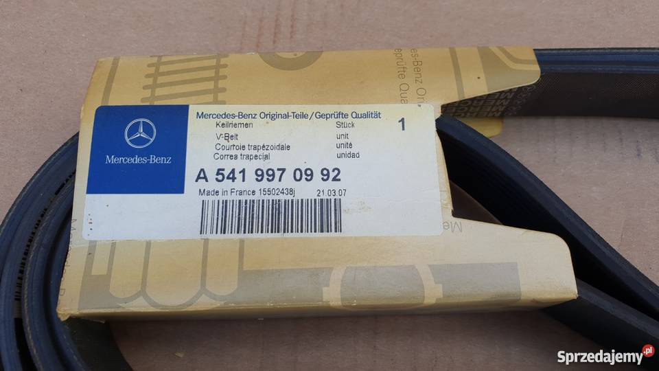 PASEK WIELOROWKOWY A 5419970992 lubuskie Bieleń