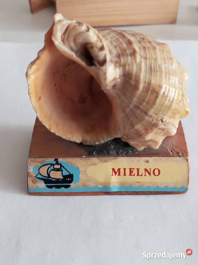 Pamiątki turystyczne Kolekcja 5 sztuk Szczecinek