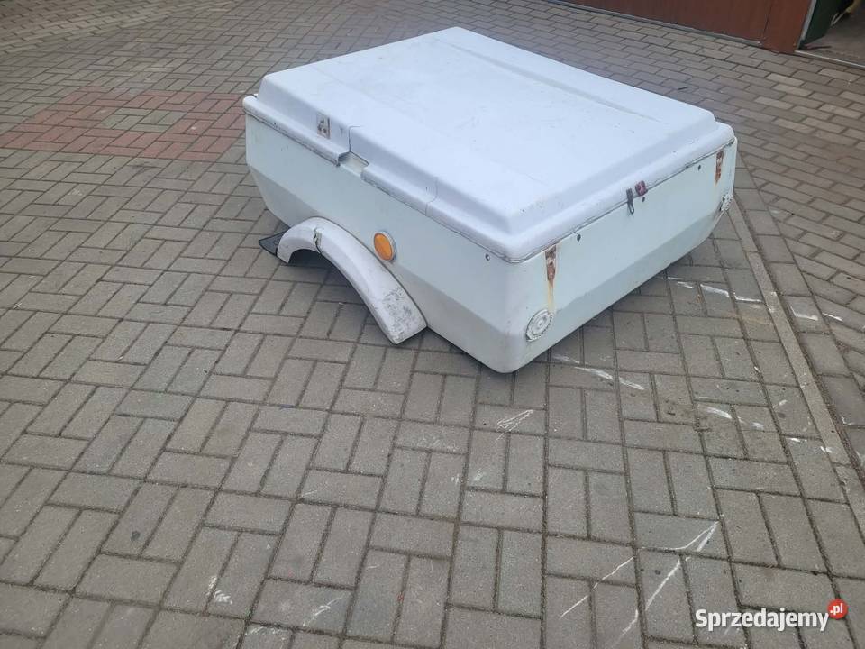 skorupa Niewiadów n250