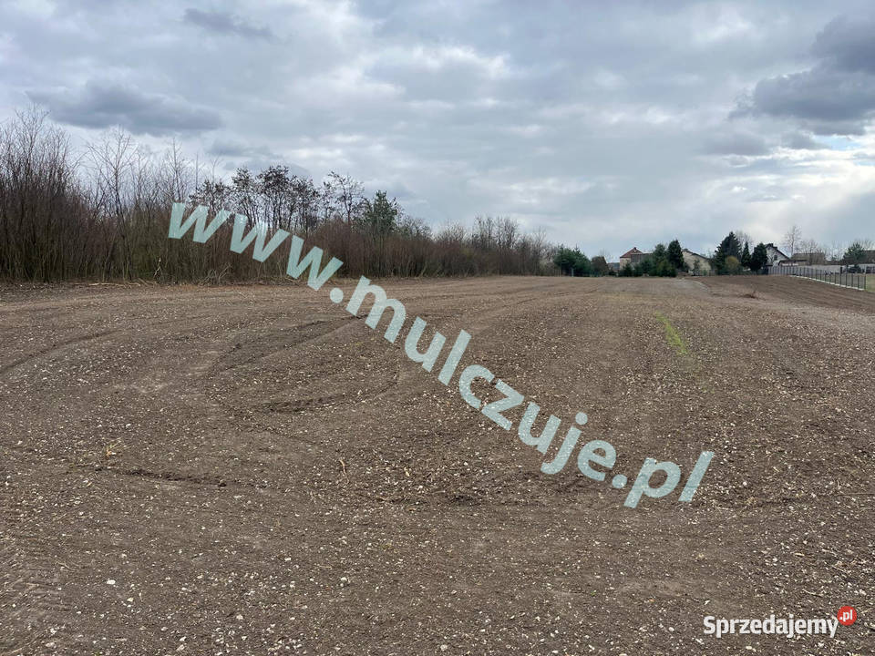 Mulczer leśny wgłębny powierzchniowy Karczowanie