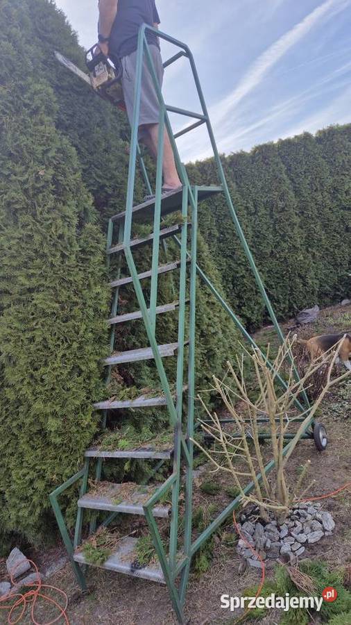 Drabina pomost pielęgnacja ogrodu Białystok