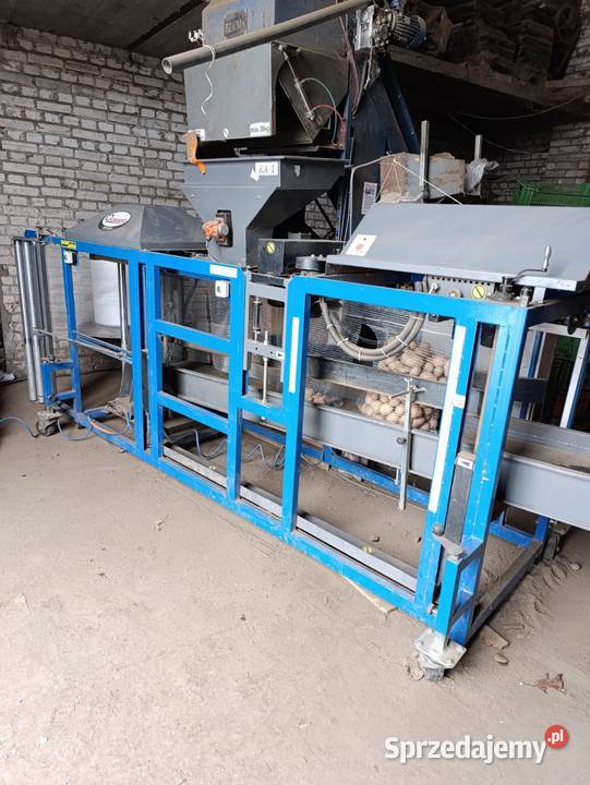 Raszlownica Domasz Błonie