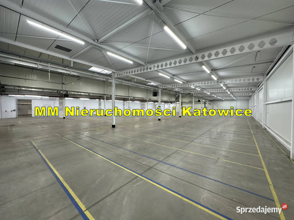 Hala do wynajęcia Katowice centrum dojazd winda