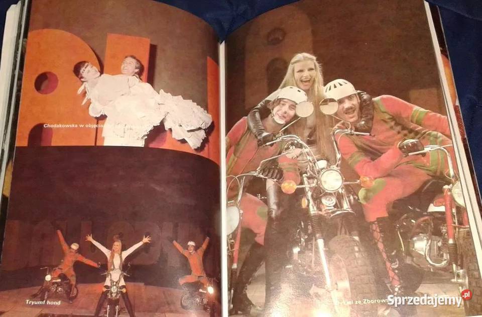 Psy hondy i drabina Adam Hanuszkiewicz Rok wydania 1991 Chełm