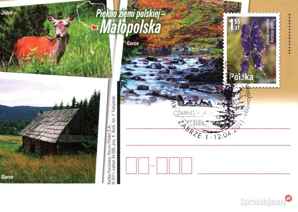 Całostki karty pocztowe 2011r Konin