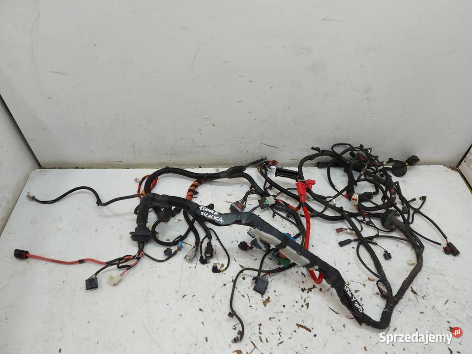 TESLA MODEL Y 2023r Wiązka komory silnika 2WD