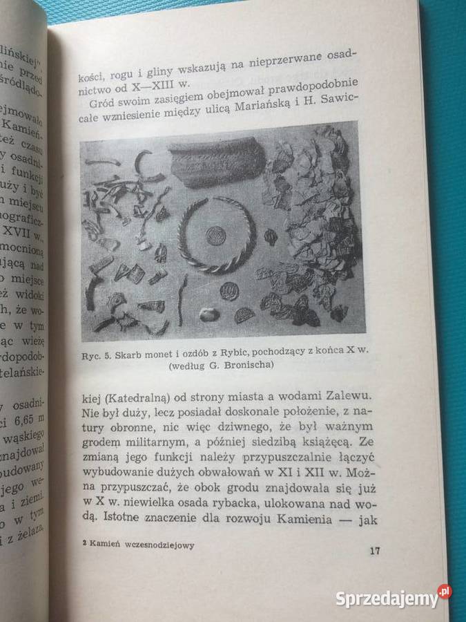 3494 Kamień Wczesnodziejowy Szczecin