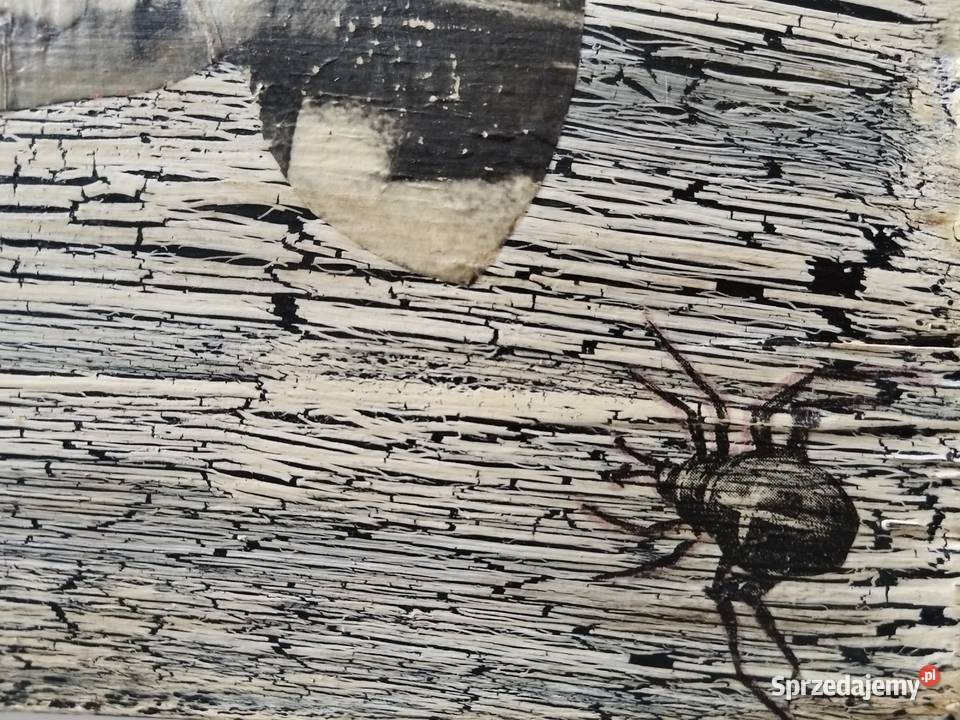 Obraz portret 24526 Szczecin