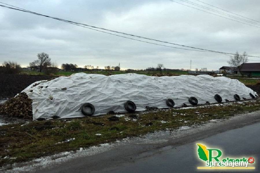 Agrowłóknina biała na pryzmy 635x50m 50g buraki Bodzanów
