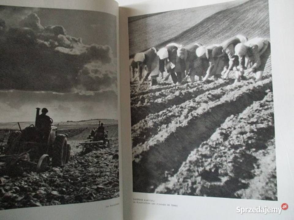 POLSKA przyroda osadnictwo architektura Łódź