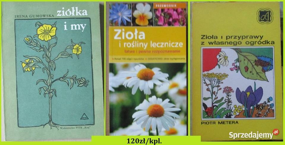 Zioła w domu P Ody zioła ziołolecznictwo rośliny Łódź