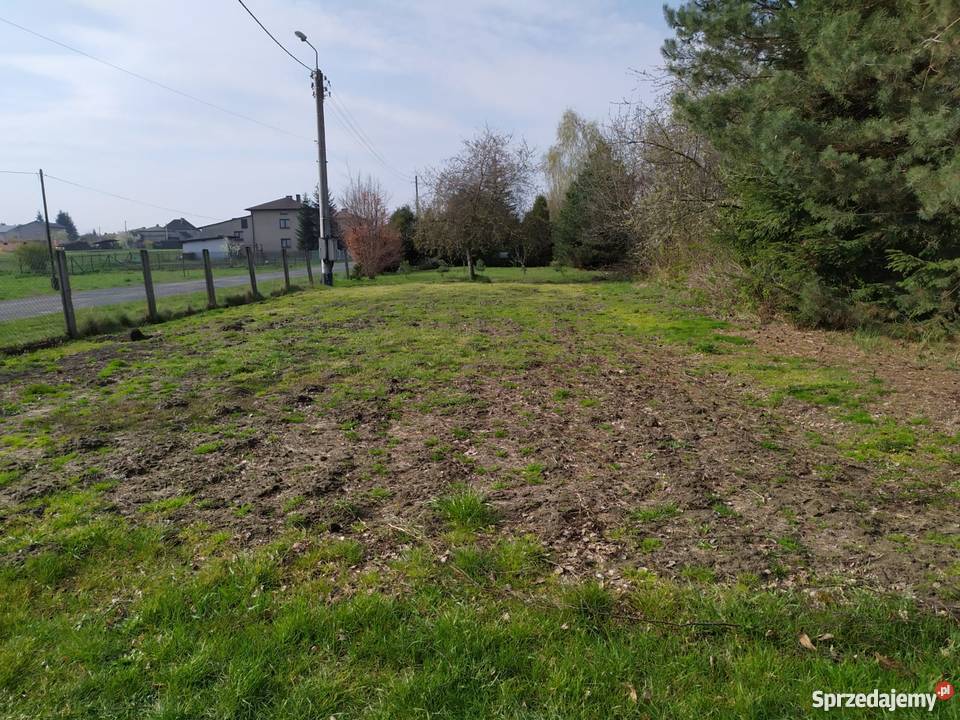Działka rekreacyjna ROD rekreacyjna Adamowice